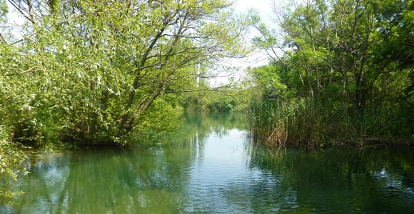 Ab Šibenik: Krka Nationalpark Tagestour mit Bootsfahrt