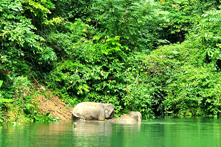 Khao Sok: Overnight Raft House Cheow Lan Lake & Coral Cave Option 1: Join Trip Raft House with Fan & *Shared Bathroom