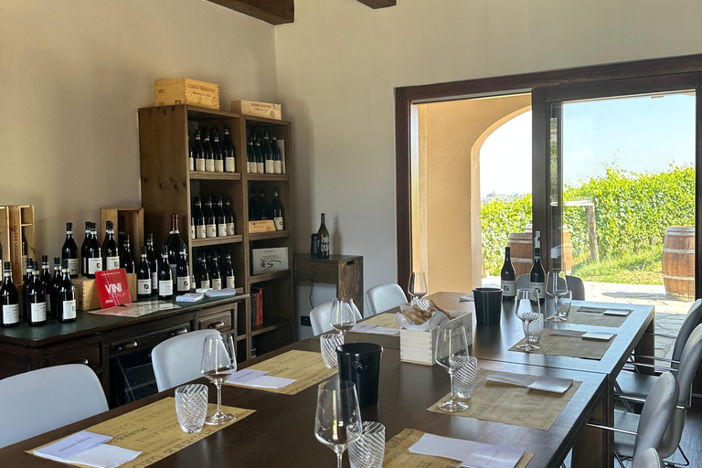 Le meilleur des Langhe : dégustation de vins et repas traditionnel