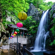 From Busan: Private Hidden Buddhist Temples Day Trip