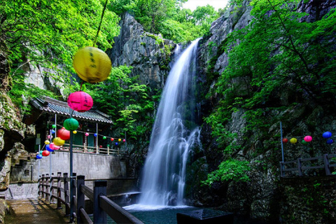 From Busan: Hidden Buddhist Temples Tour Private Day Trip 4-hour Seokbulsa & Hongryongsa Temple Tour