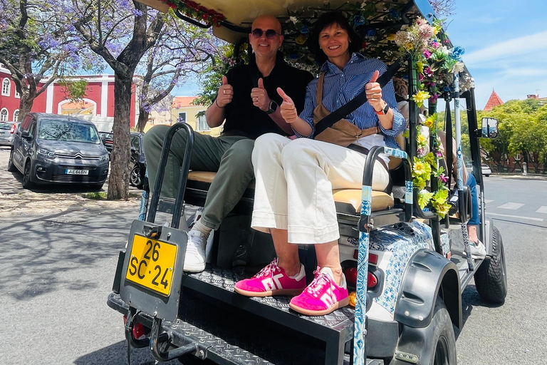 Lisbon: Multilingual Private TukTuk Tour with Live Guide Ultimate Lisbon & Belém Experience 04 hrs(Pick Up+Drop-off)*