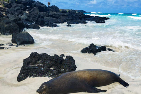 Venture into the nature and history of San Cristóbal