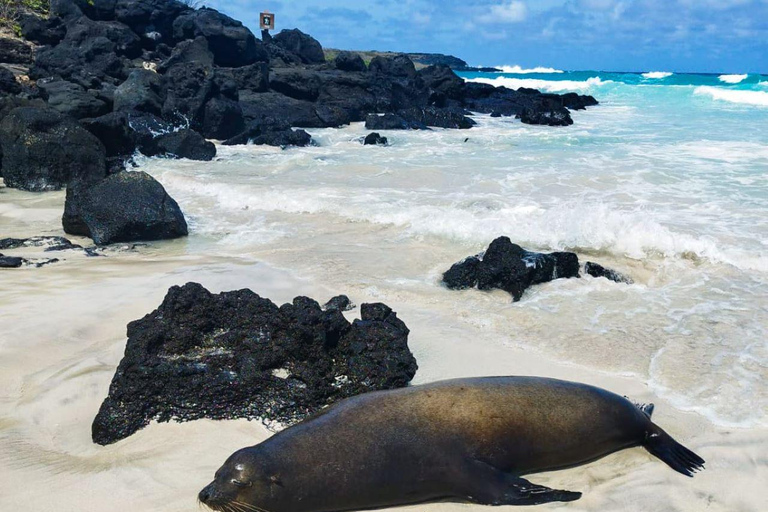 Venture into the nature and history of San Cristóbal