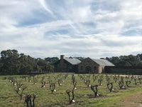 巴罗莎谷，小型葡萄酒之旅（包括午餐） - Housity