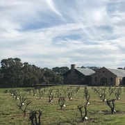 Barossa Valley: Small Group Wine Tour (Includes Lunch)