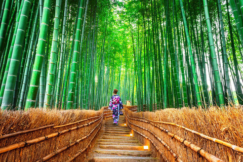 Kyoto/Osaka: Nara, Fushimi Inari, Arashiyama DagsutflyktFrån Osaka Ej inklusive tågbiljett