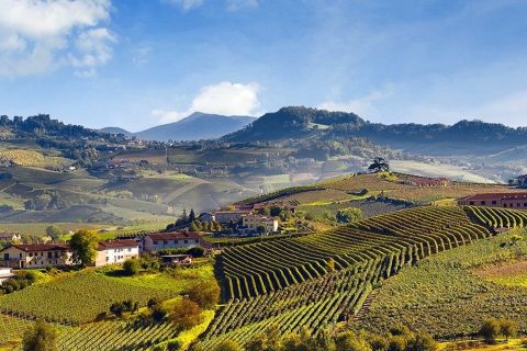 Tour privato: degustazione di vino Barolo nelle Langhe da Torino