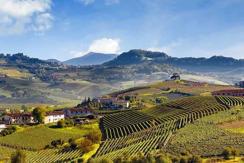 Privétour: Barolo wijnproeverij in Langhe vanuit Turijn