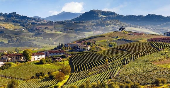 Vineyard rows crossing rounded Langhe hills with a stone village in the distance