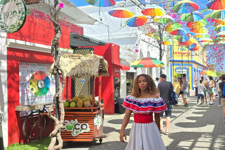 Puerto Plata: tour panorámico de la ciudad con el Monte Isabel y almuerzoPuerto Plata: tour panorámico de la ciudad con el monte Isabel y almuerzo