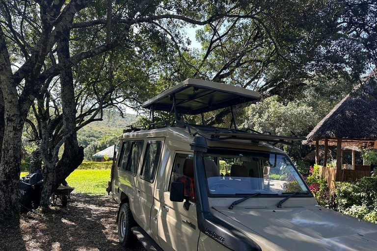 Fairview Coffee Farm Day Tour From Nairobi