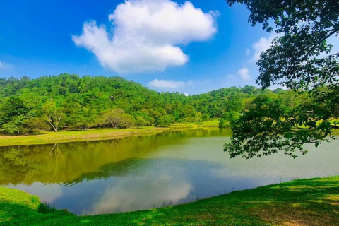 Tour guiado particular de 1 dia de bicicleta por trilhas até as Cataratas