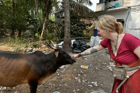 Agra: Visita a la Vida Rural y la Artesanía Local