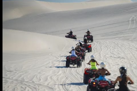 Cape Town: Quad Biking , Ostrich Ranch , Toboggan Full Day
