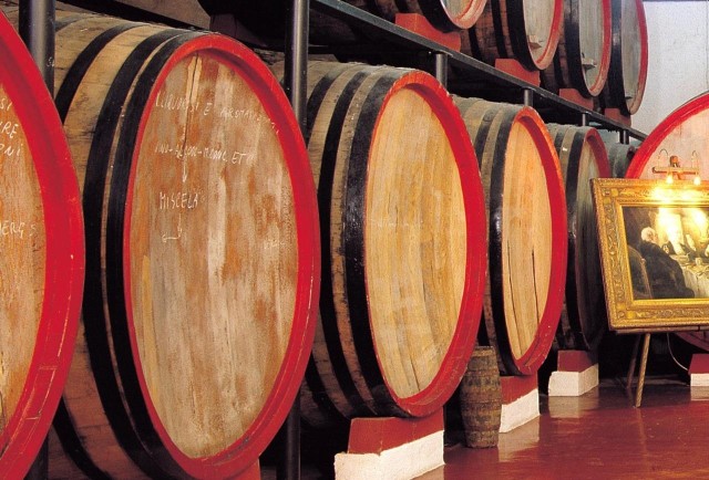 Visit Marsala Winery Tour with Wine Tasting and Local Products in Marsala