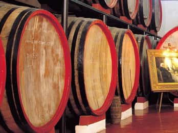 Marsala : Visite d'un vignoble avec dégustation de vins et de produits locaux