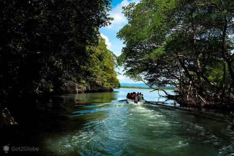 Mangroves, Mogotes and Mountains from Punta Cana