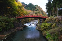 Excursión privada de día completo a Nikko - Hizvo