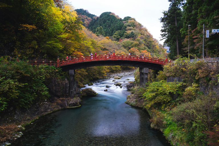 Da Tokyo: Escursione privata di una giornata intera a NikkoTour privato di un giorno di Nikko con visita panoramica di un giorno intero