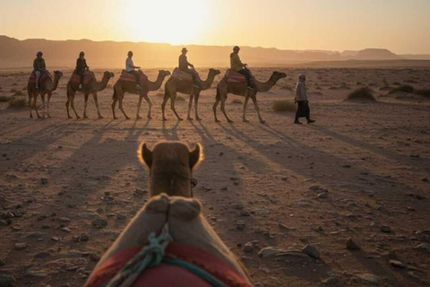 Atlas Paragliding & Agafay Desert Adventure from Marrakech