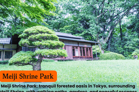 Tokyo Unforgettable Private Tour for Family(up-to 6 persons)