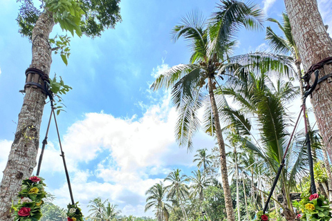 乌布猴林、梯田、秋千、寺庙和瀑布乌布猴林、水稻梯田、秋千、寺庙和瀑布
