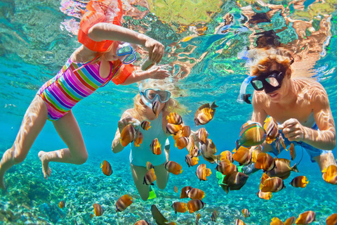 Zanzibar: Prison Island & Nakupenda, a Boat Trip With Lunch.