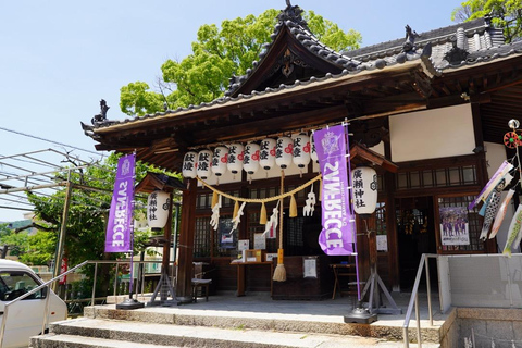 Hiroshima : expérience personnalisée de bonsaï et wabi-sabiHiroshima : expérience personnalisée autour du bonsaï et du wabi-sabi