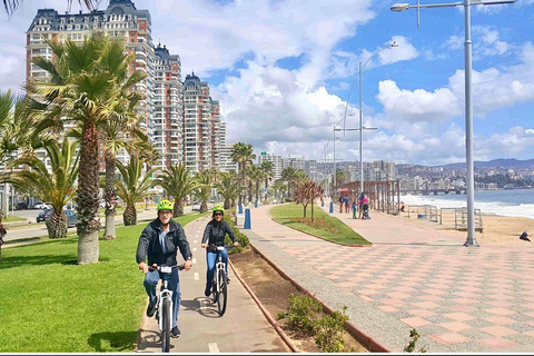 Valparaiso, Viña del Mar, vinícola, leões marinhos e passeio de barco