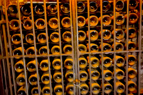 Wine Tour: On the Way to Chateauneuf du Pape