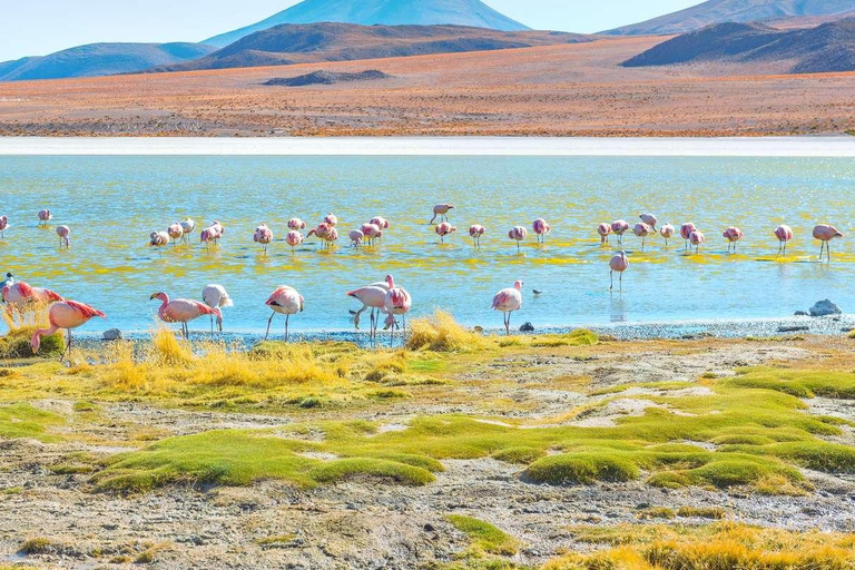 Depuis San Pedro de Atacama : Plateau salé d&#039;Uyuni 3 jours