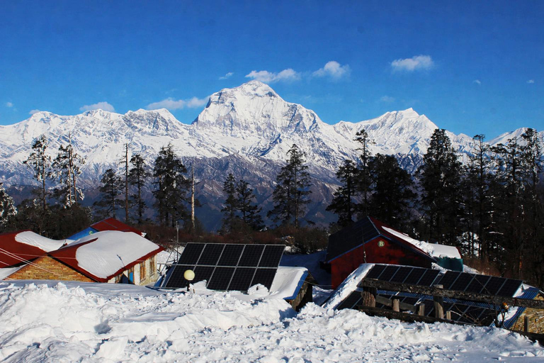 Pokhara: Mohare Danda Community Eco Sunrise Trek with Guide