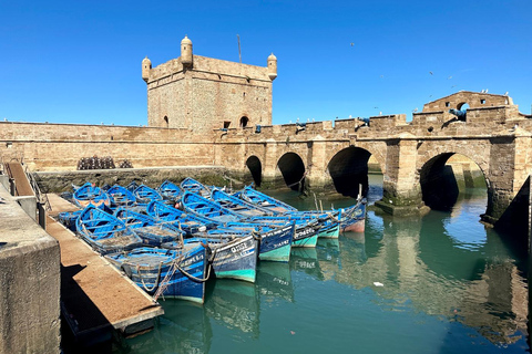 From Marrakech: Essaouira Day Trip with Free Time to Explore From Marrakech: Private Day Trip to Essaouira
