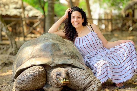 Ciudad de piedra y prisión Isla