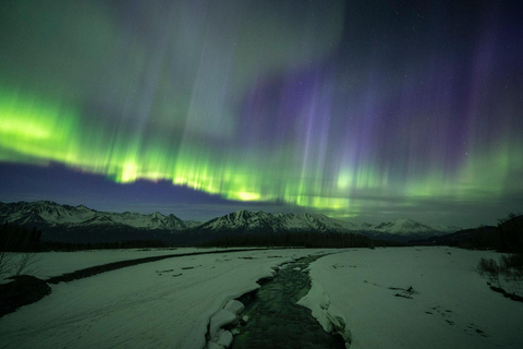 Anchorage: Aurora Borealis Northern Lights Photography Tour