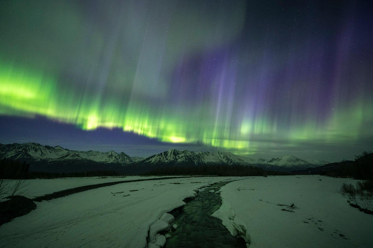Anchorage: Aurora Borealis Northern Lights Photography Tour