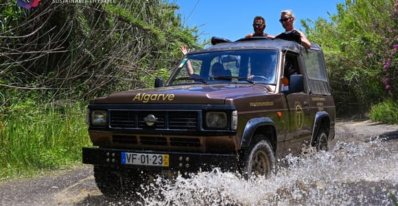 Algarve: Open 4x4 Jeep Tour, Alte, Natural Pools & Tastings