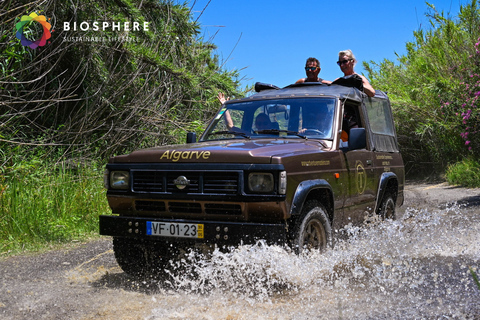 Algarve: Open 4x4 Jeep Tour, Alte, Natural Pools & Tastings