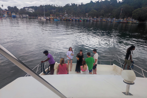 Mirissa: tour in barca con osservazione balene al tramonto e musica