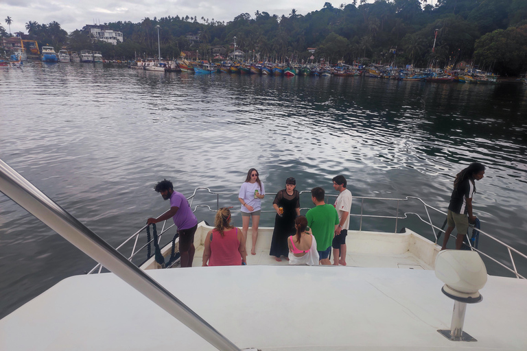 Mirissa: tour in barca con osservazione balene al tramonto e musica