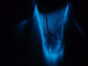 Tour privato delle bioluminescenze - Cocoa Beach Fino a 6 ospiti