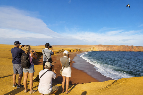 Paracas National Reserve Group Tour from Paracas