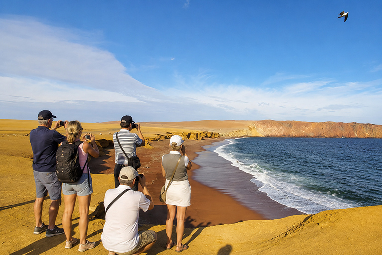 Paracas National Reserve Group Tour from Paracas