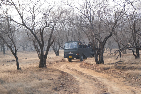 Spot Tigers and other wild of Ranthambore on a Day-Same Tour Ranthambore day trip with local guide full day + naturalist