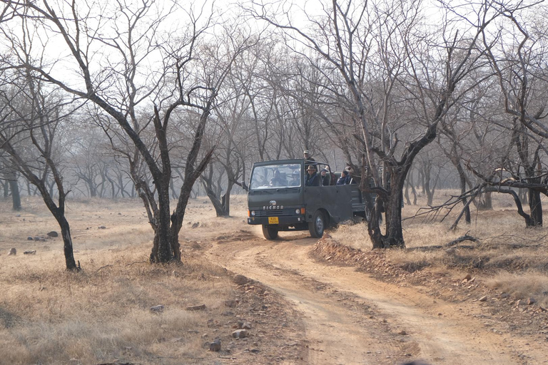 Spot Tigers and other wild of Ranthambore on a Day-Same Tour Ranthambore day trip with local guide full day + naturalist
