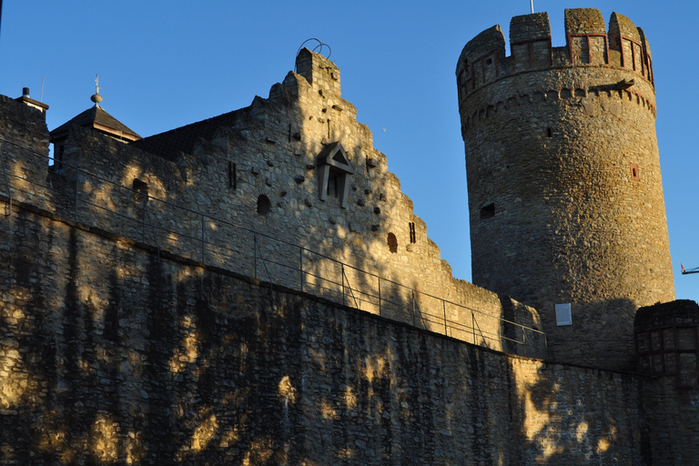 Sip Wine Along the Rhine - Grape Day out from Frankfurt