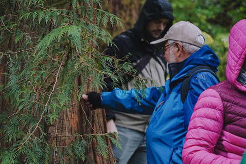Ketchikan: Alaska Rainforest Sanctuary and Totem Park Walk