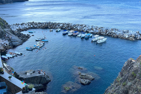 Excursion exclusive d&#039;une journée dans les Cinque Terre en ferry avec arrêt à Pise