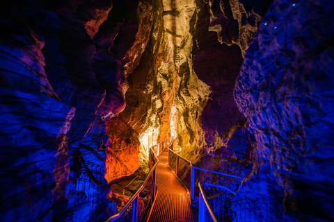 From Auckland: Waitomo Glowworm and Ruakuri Caves Day Tour